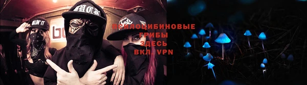 спайс Липки