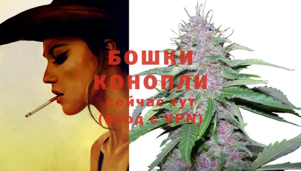 PSILOCYBIN Ачинск