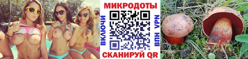 Галлюциногенные грибы MAGIC MUSHROOMS  цена наркотик  Вилючинск 